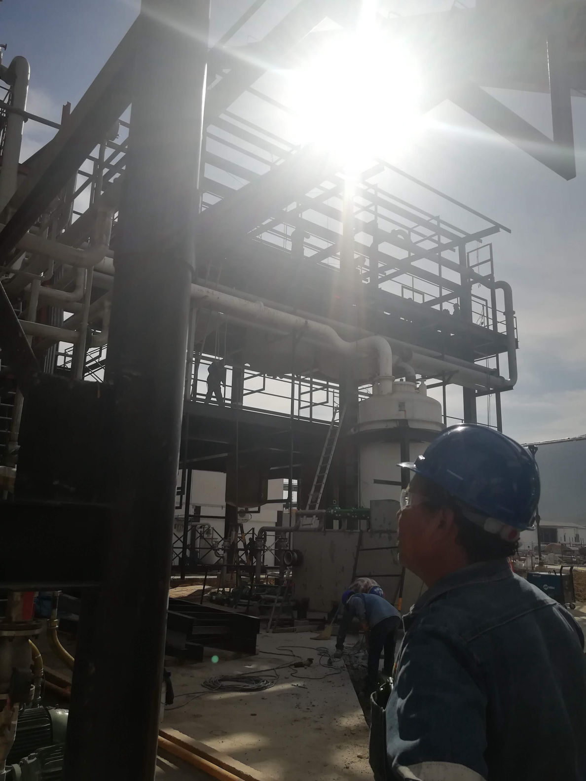 Bootstrap Examples Templates